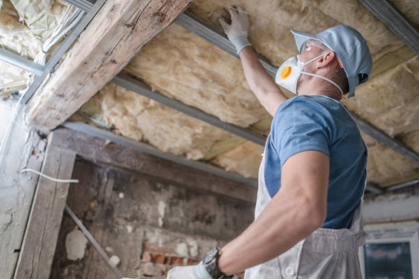 Best Spray Foam Insulation in Maria Stein, OH